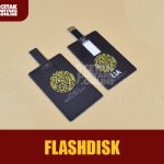 Flashdisk Logo   